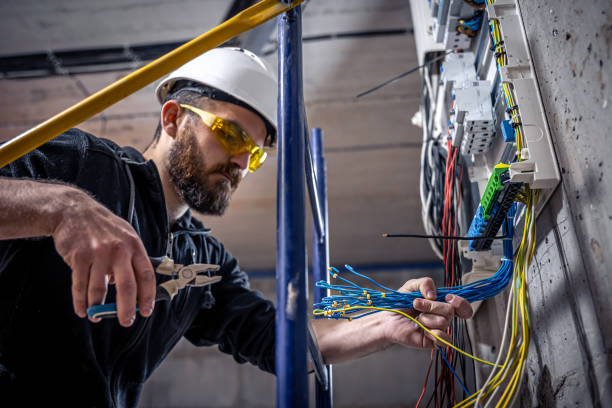Best Electrical Upgrades for Homes  in Nellieburg, MS