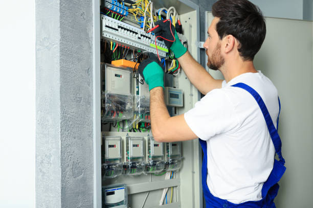 Best Electric Panel Repair  in Nellieburg, MS